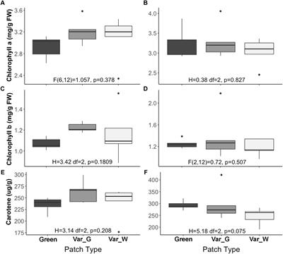 Thermal Benefits From White Variegation of Silybum marianum Leaves